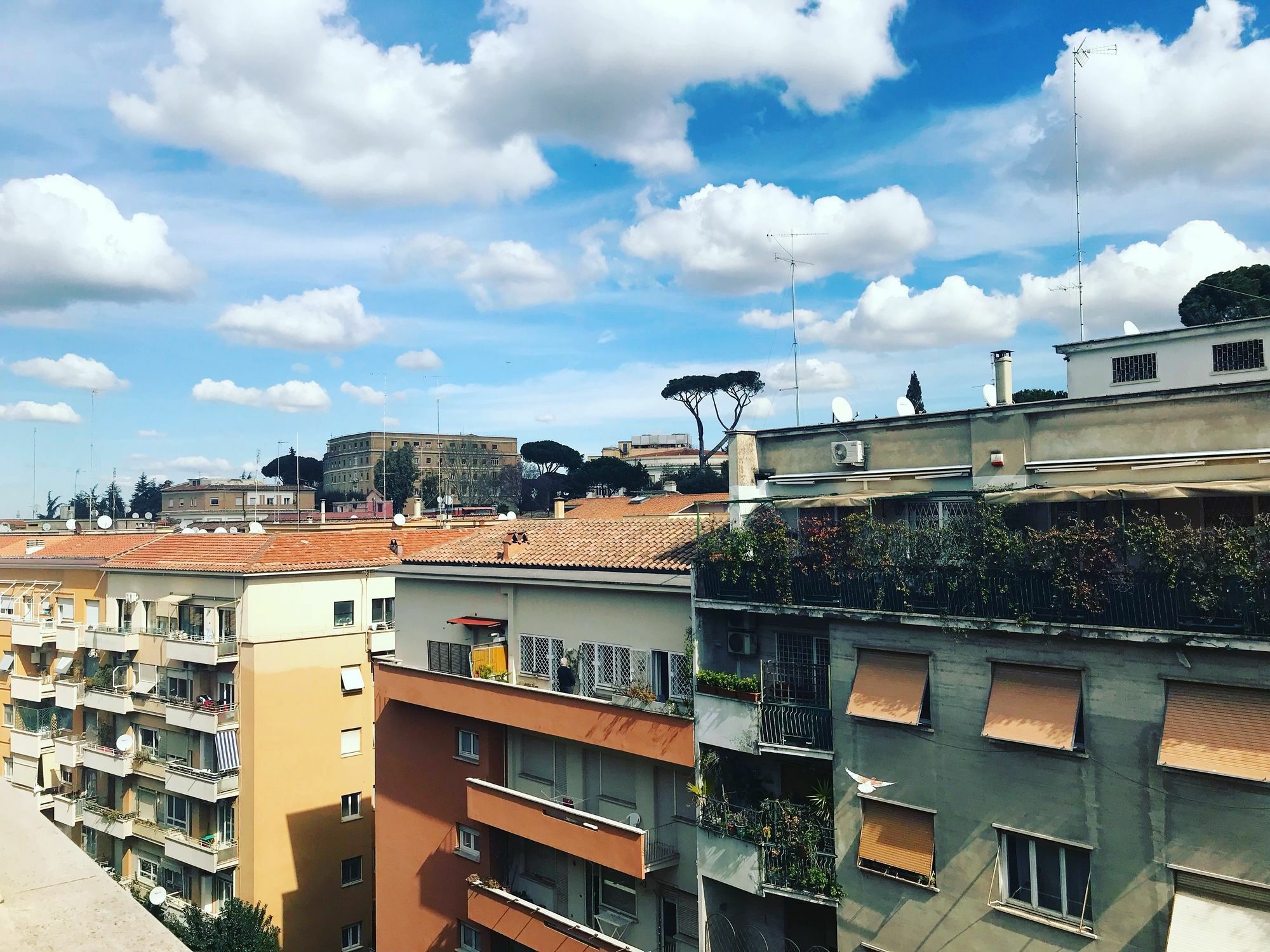 Charming Vatican Ρώμη Εξωτερικό φωτογραφία